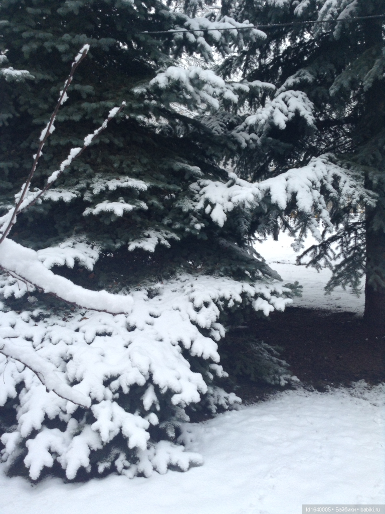 Лялькины каникулы. ч.4. Встреча друзей. Зимняя прогулка