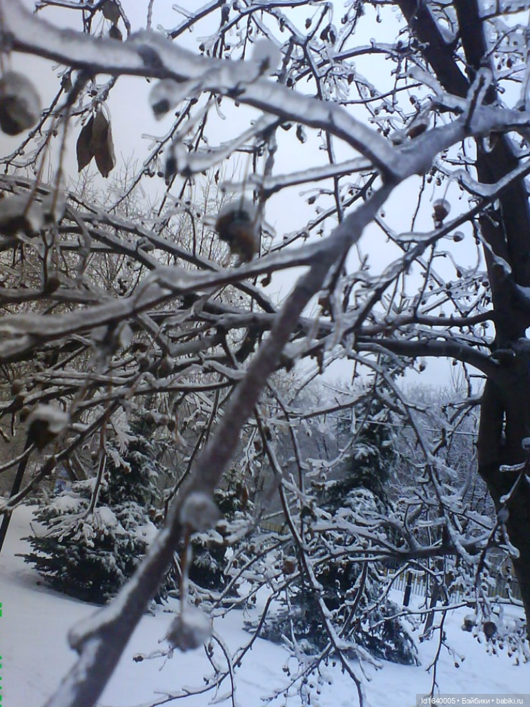 Зимы волшебный ключик. В царстве Ледяных фей: Музей снежинок