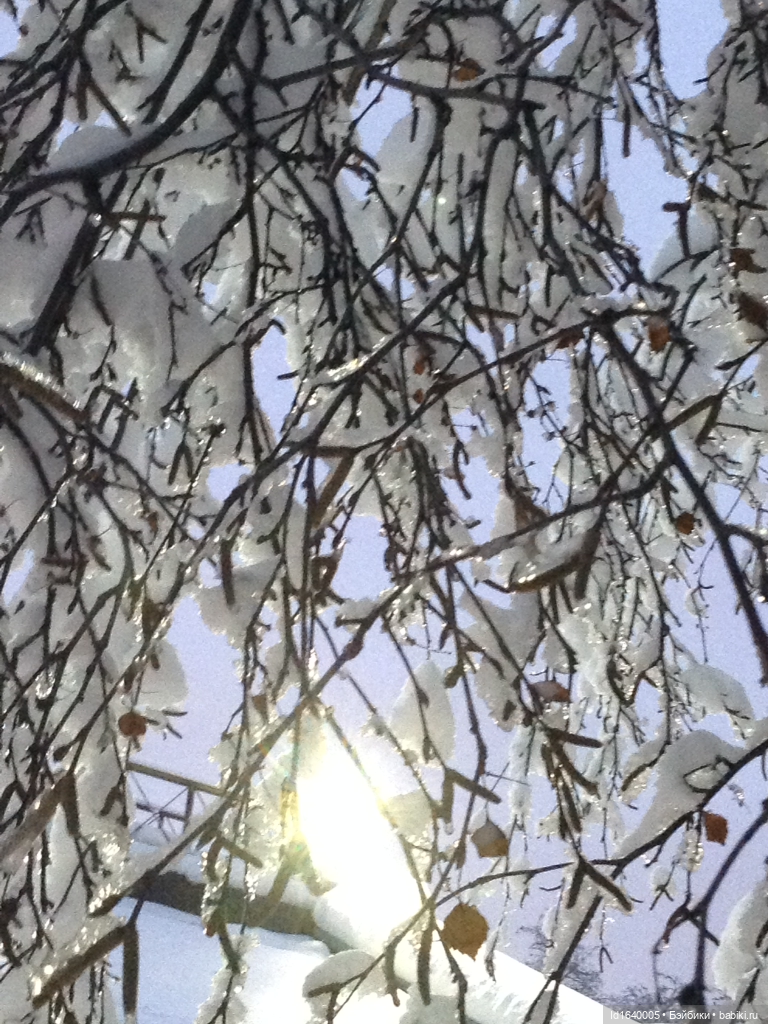 Зимы волшебный ключик. В царстве Ледяных фей: Музей снежинок (фото 8)