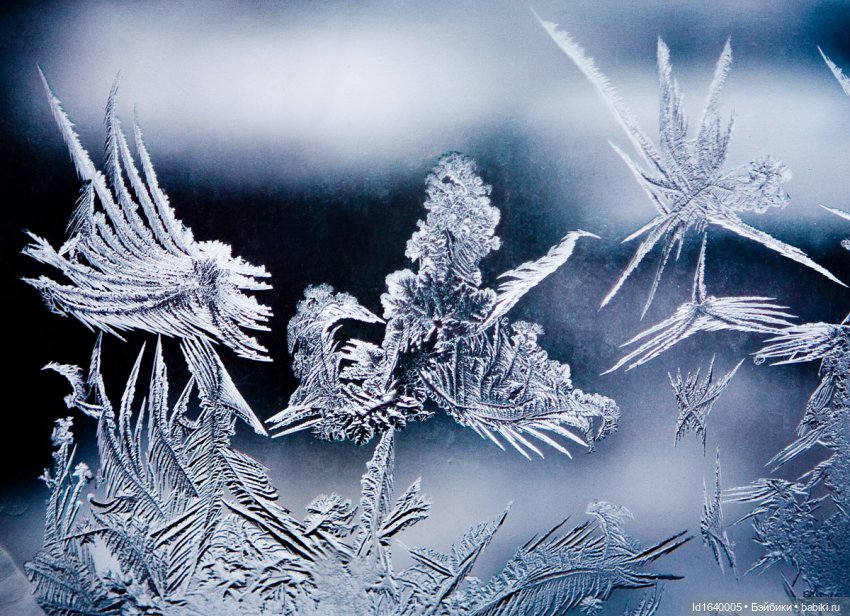 Зимы волшебный ключик. В царстве Ледяных фей: Музей снежинок