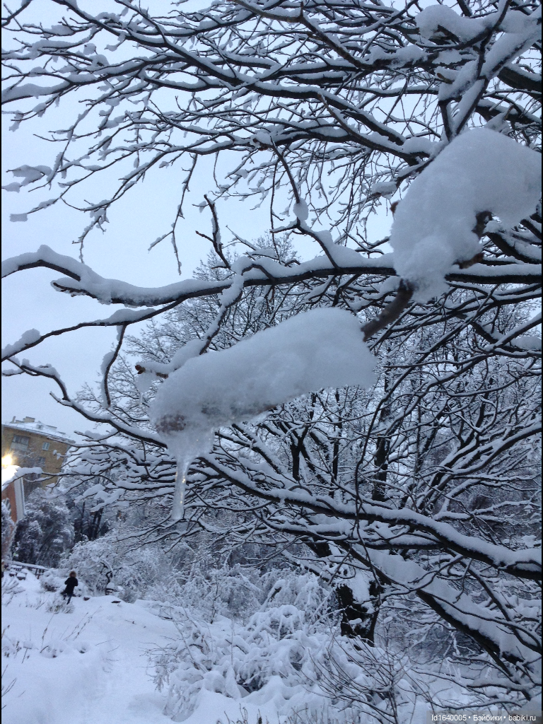 Зимы волшебный ключик. В царстве Ледяных фей: Музей снежинок (фото 2)