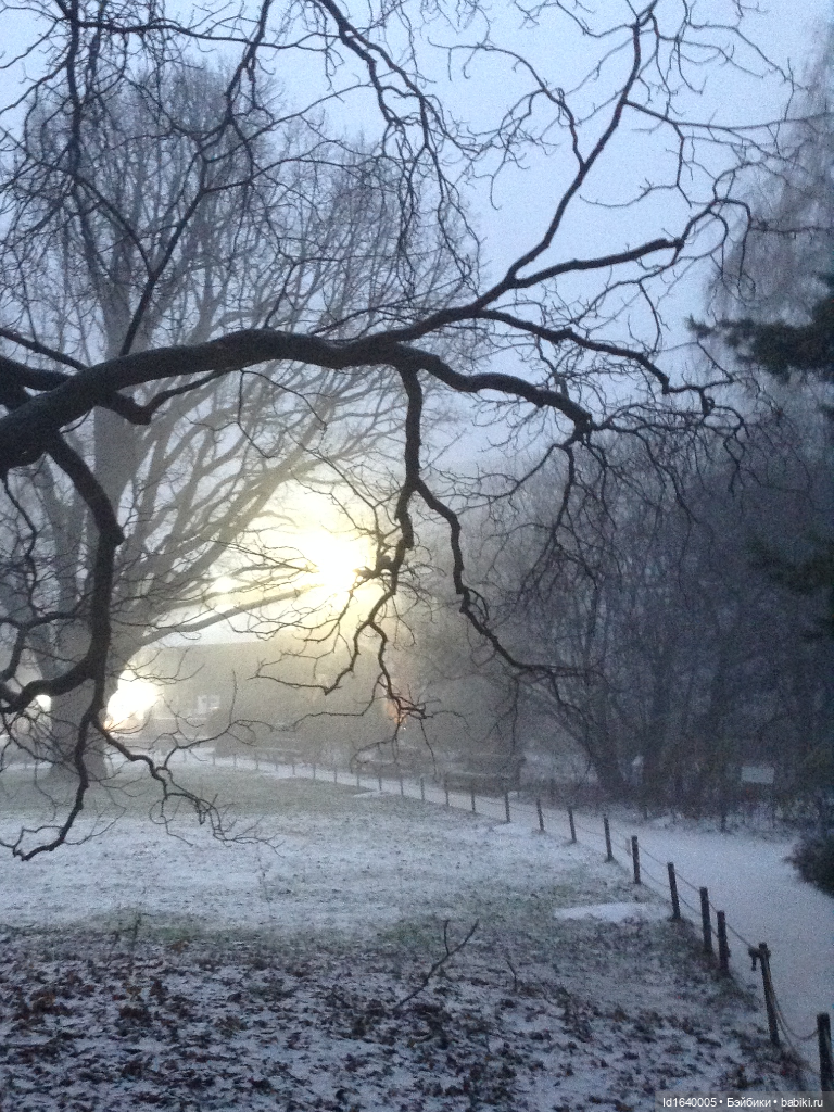 Зимы волшебный ключик. В царстве Ледяных фей: Музей снежинок (фото 7)