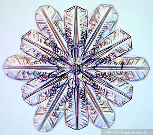 Зимы волшебный ключик. В царстве Ледяных фей: Музей снежинок