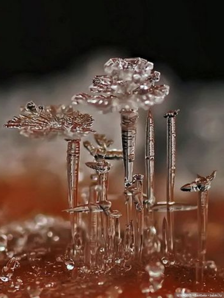 Зимы волшебный ключик. В царстве Ледяных фей: Музей снежинок