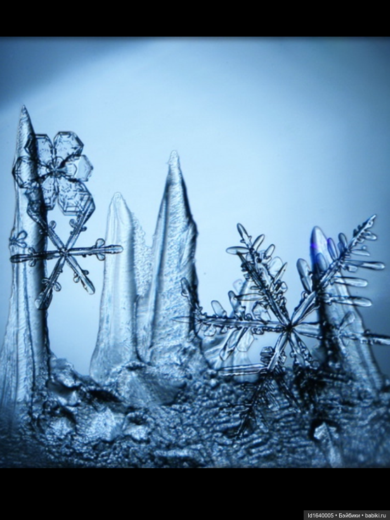 Зимы волшебный ключик. В царстве Ледяных фей: Музей снежинок