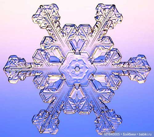 Зимы волшебный ключик. В царстве Ледяных фей: Музей снежинок