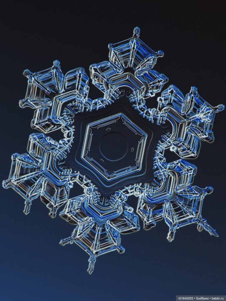 Зимы волшебный ключик. В царстве Ледяных фей: Музей снежинок