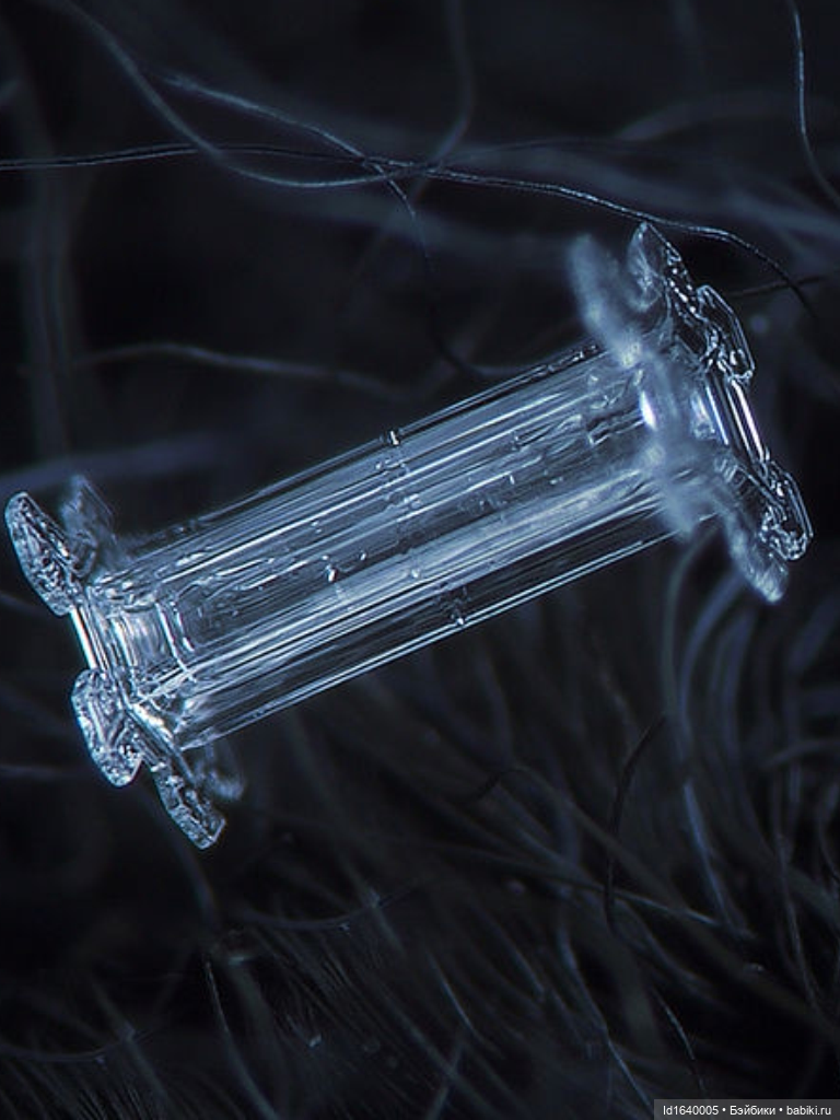 Зимы волшебный ключик. В царстве Ледяных фей: Музей снежинок