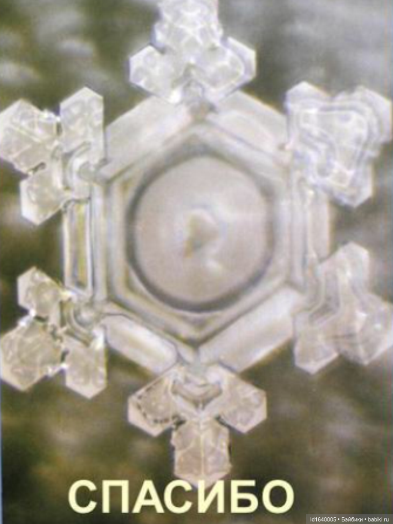 Зимы волшебный ключик. В царстве Ледяных фей: Музей снежинок