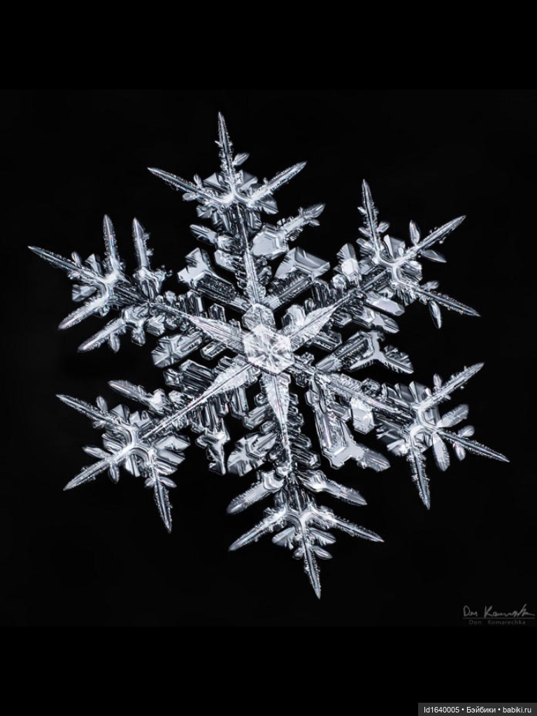 Зимы волшебный ключик. В царстве Ледяных фей: Музей снежинок