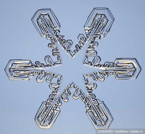 Зимы волшебный ключик. В царстве Ледяных фей: Музей снежинок