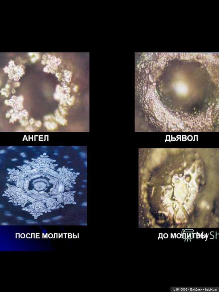 Зимы волшебный ключик. В царстве Ледяных фей: Музей снежинок