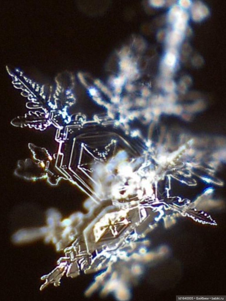 Зимы волшебный ключик. В царстве Ледяных фей: Музей снежинок (фото 9)