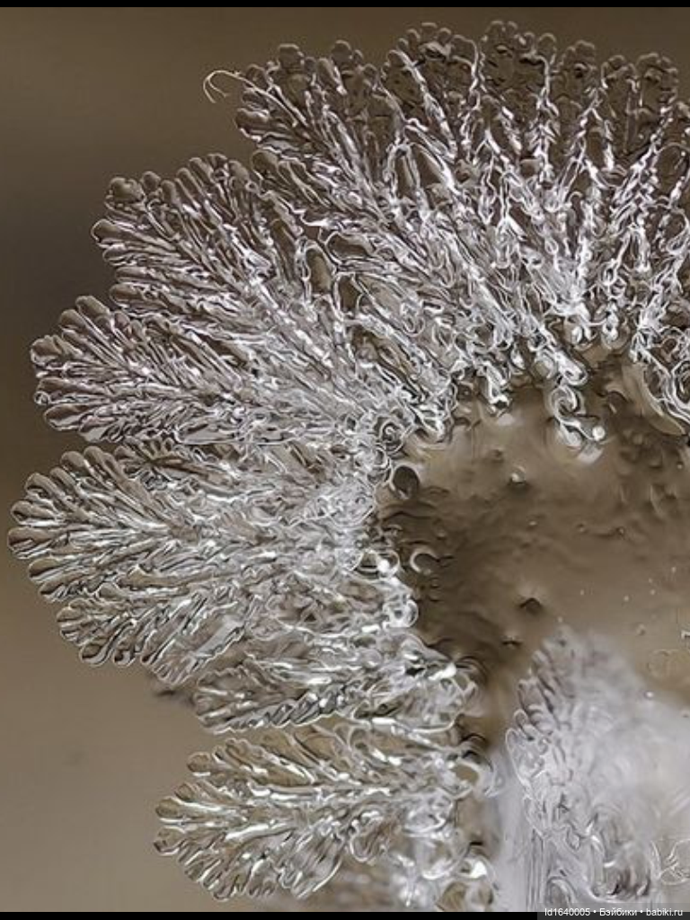 Зимы волшебный ключик. В царстве Ледяных фей: Музей снежинок