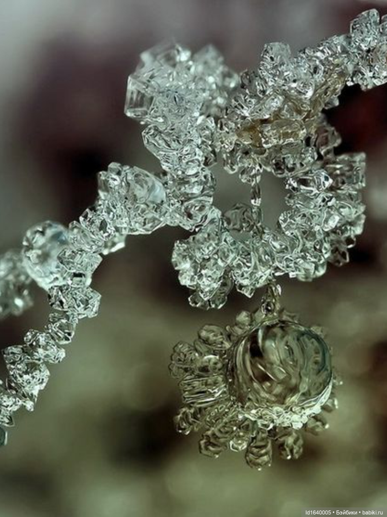 Зимы волшебный ключик. В царстве Ледяных фей: Музей снежинок