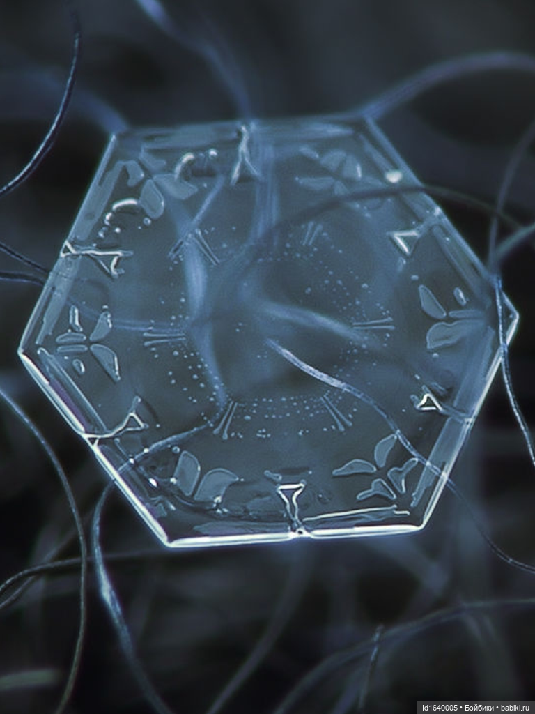 Зимы волшебный ключик. В царстве Ледяных фей: Музей снежинок