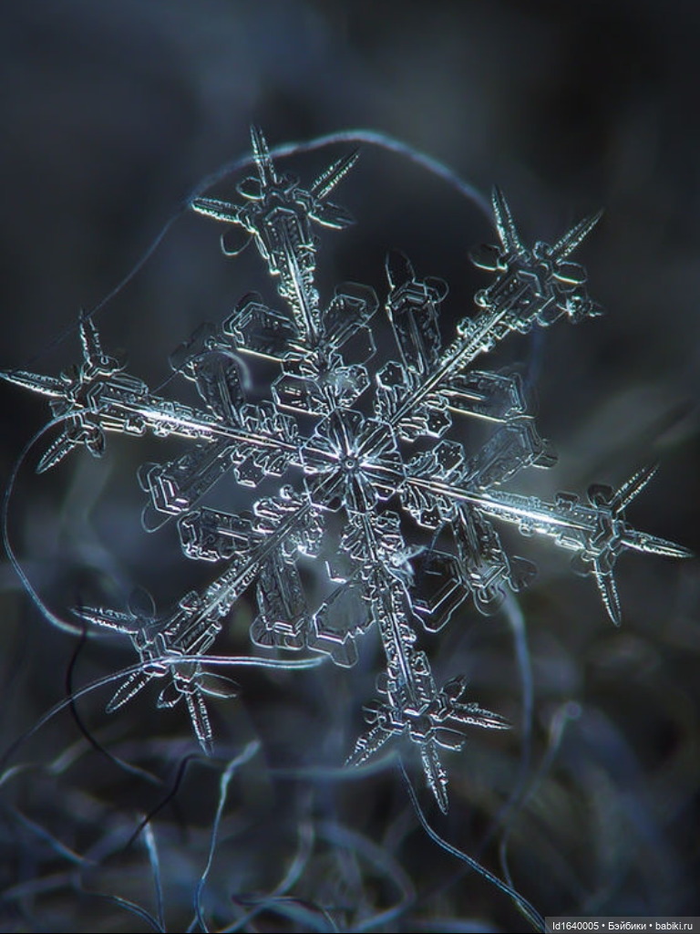 Зимы волшебный ключик. В царстве Ледяных фей: Музей снежинок (фото 10)