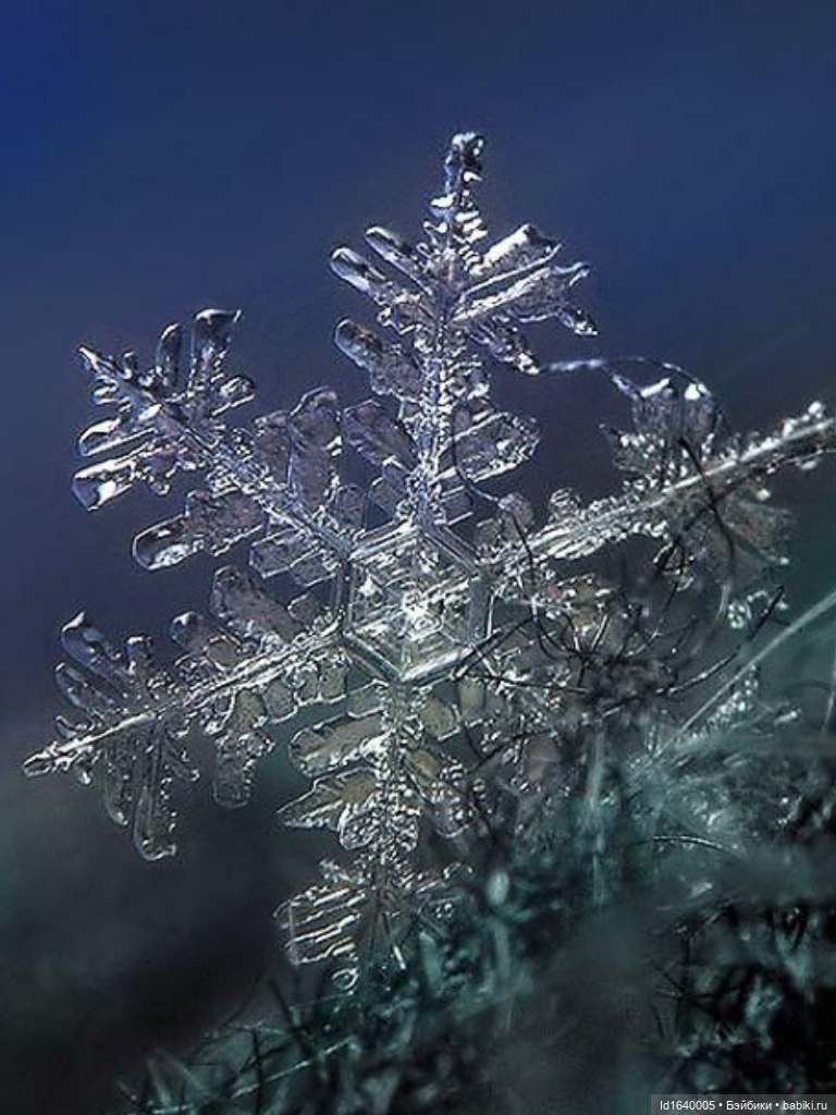 Зимы волшебный ключик. В царстве Ледяных фей: Музей снежинок