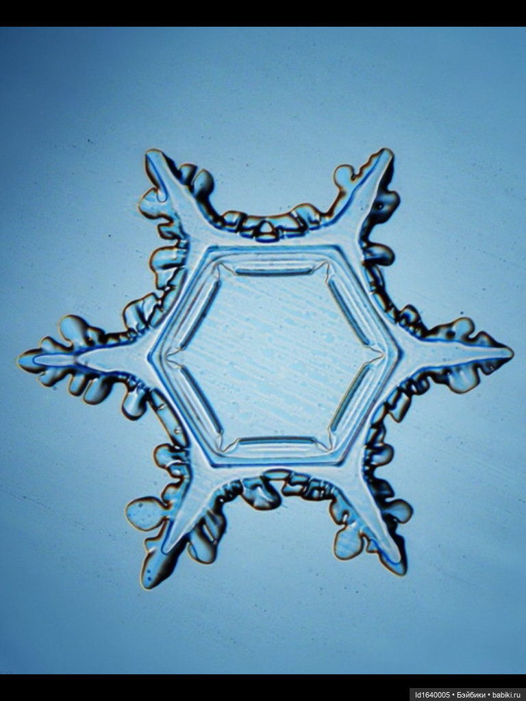 Зимы волшебный ключик. В царстве Ледяных фей: Музей снежинок