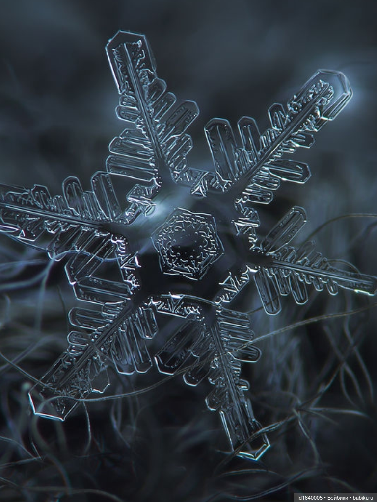 Зимы волшебный ключик. В царстве Ледяных фей: Музей снежинок