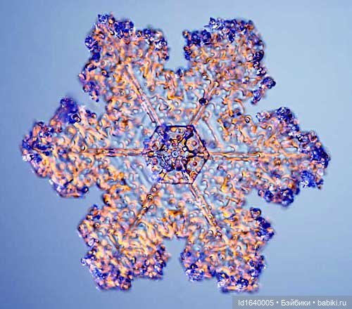 Зимы волшебный ключик. В царстве Ледяных фей: Музей снежинок