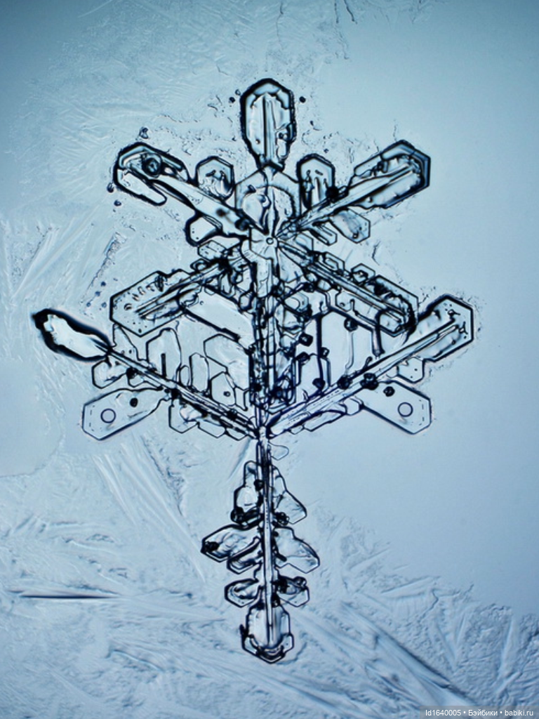 Зимы волшебный ключик. В царстве Ледяных фей: Музей снежинок