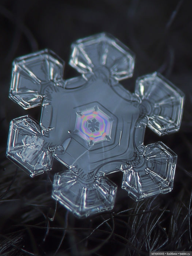 Зимы волшебный ключик. В царстве Ледяных фей: Музей снежинок