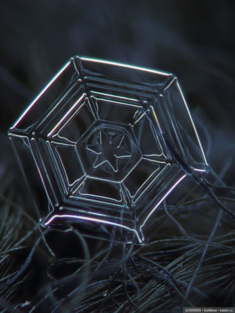 Зимы волшебный ключик. В царстве Ледяных фей: Музей снежинок