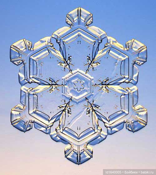 Зимы волшебный ключик. В царстве Ледяных фей: Музей снежинок