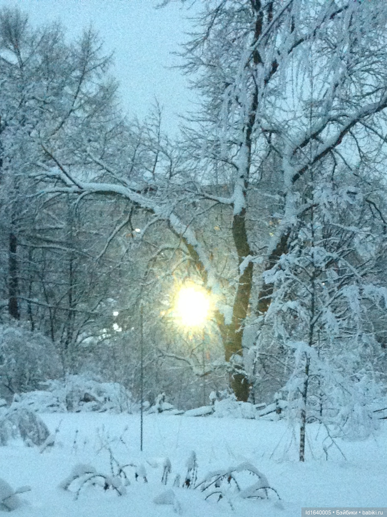 Зимы волшебный ключик. В царстве Ледяных фей: Музей снежинок