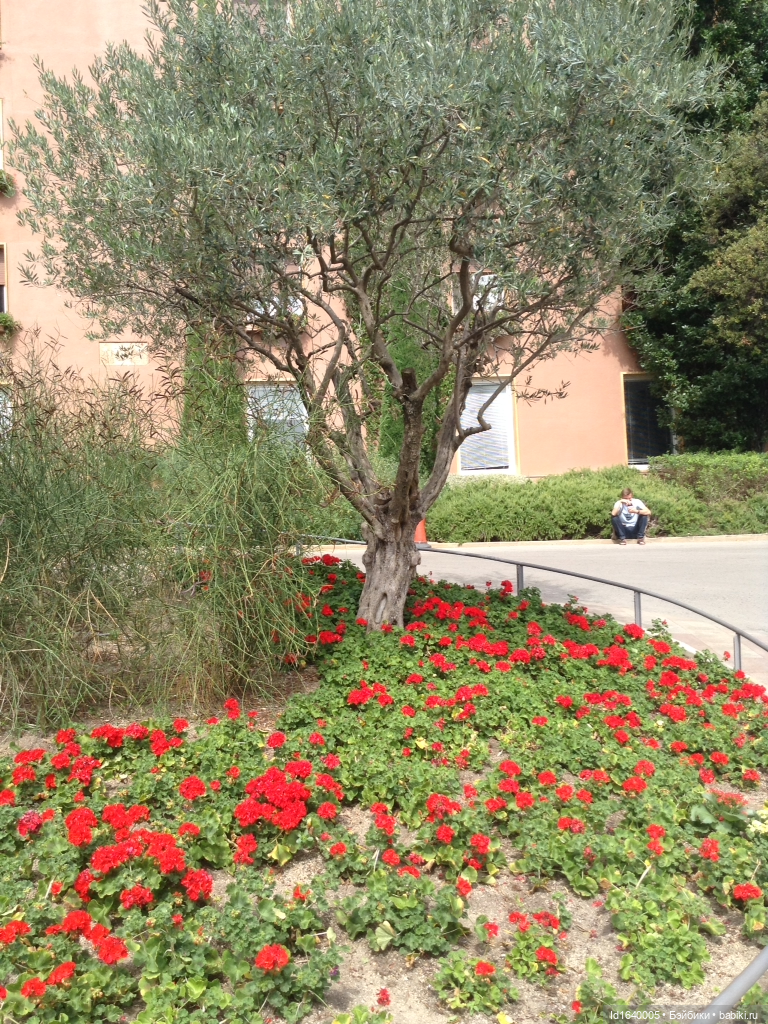 Бенедиктинский монастырь Монсеррат в Испании. Чёрная Мадонна - покровительница Каталонии