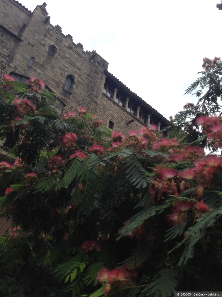 Тринадцать гусей в Соборе ч.1