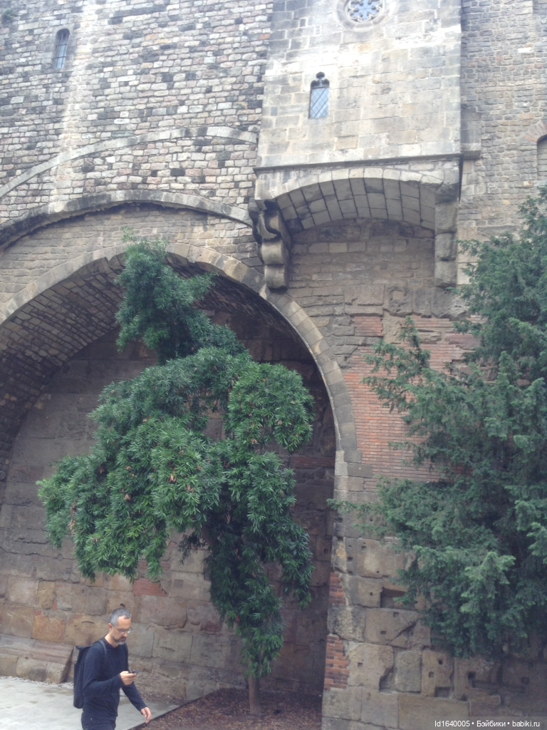 Тринадцать гусей в Соборе ч.1