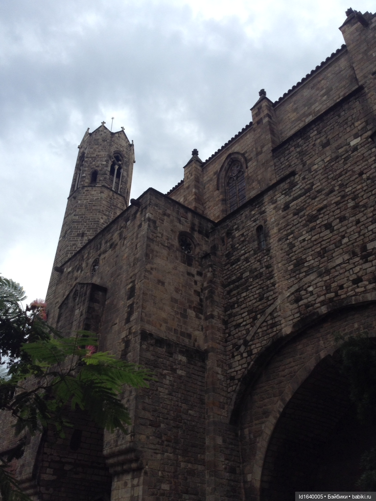 Тринадцать гусей в Соборе ч.1