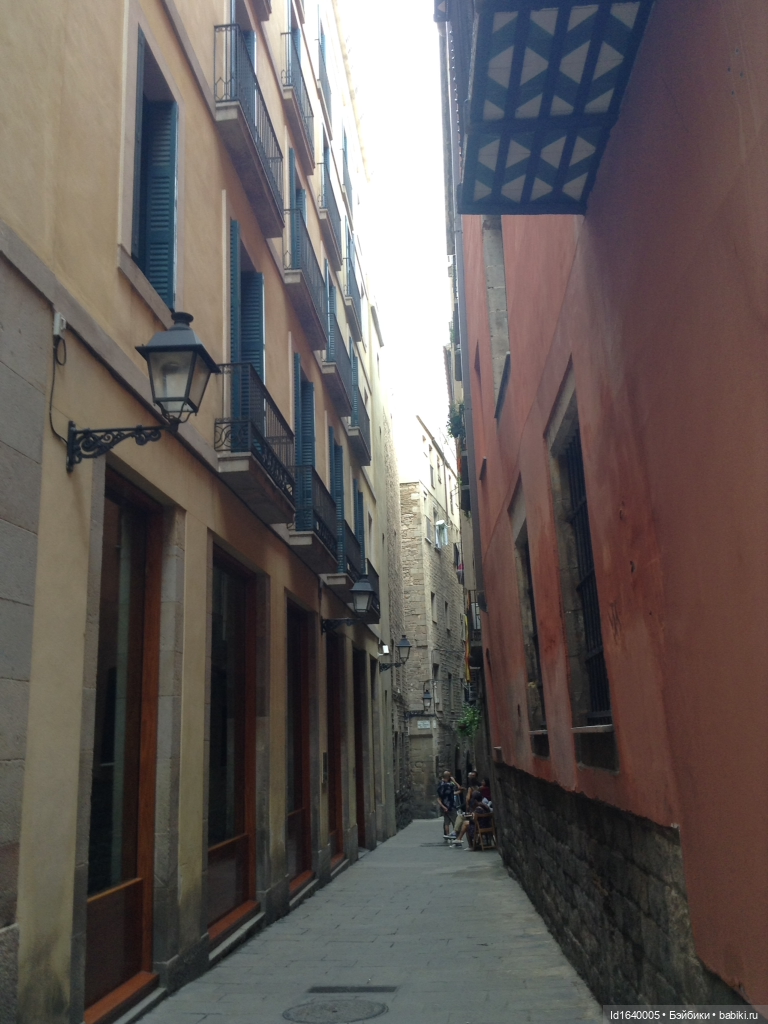 Тринадцать гусей в Соборе ч.1 (фото 5)