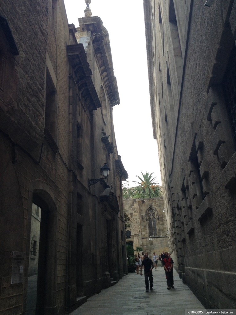 Тринадцать гусей в Соборе ч.1 (фото 6)