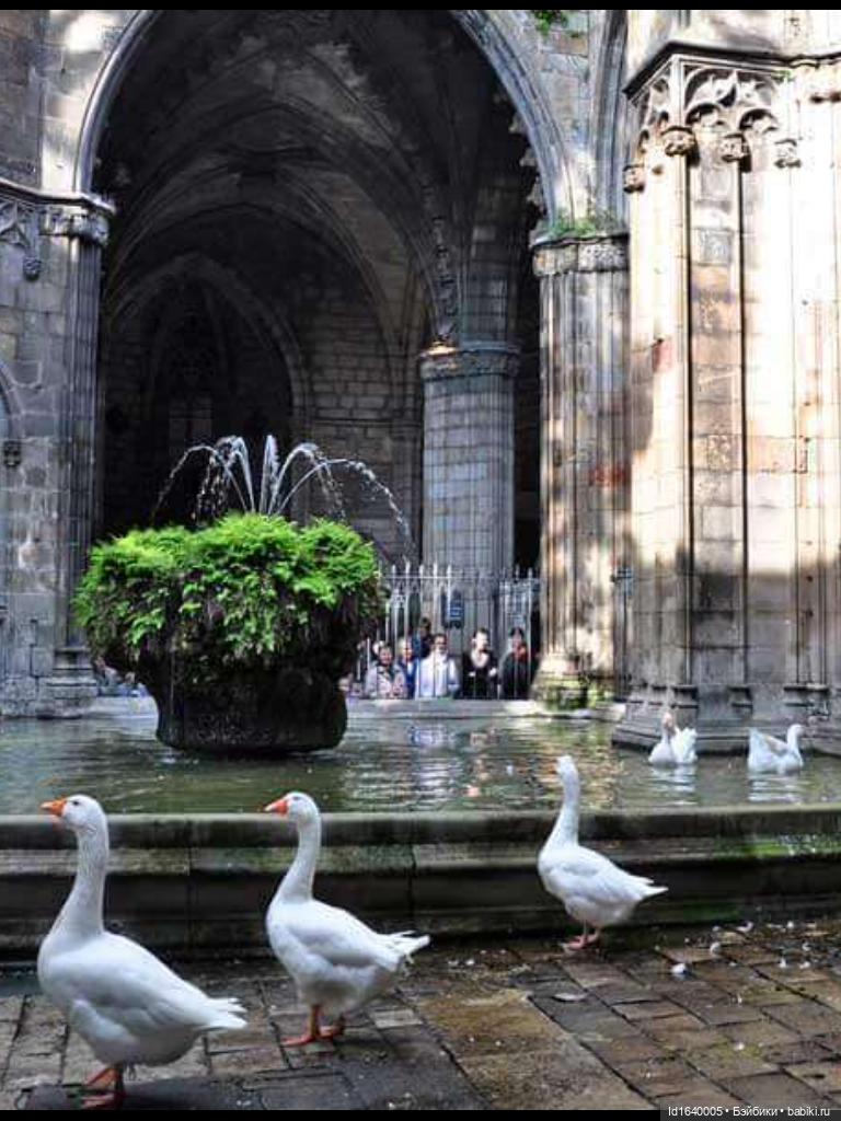 Тринадцать гусей в Соборе. Ч.2