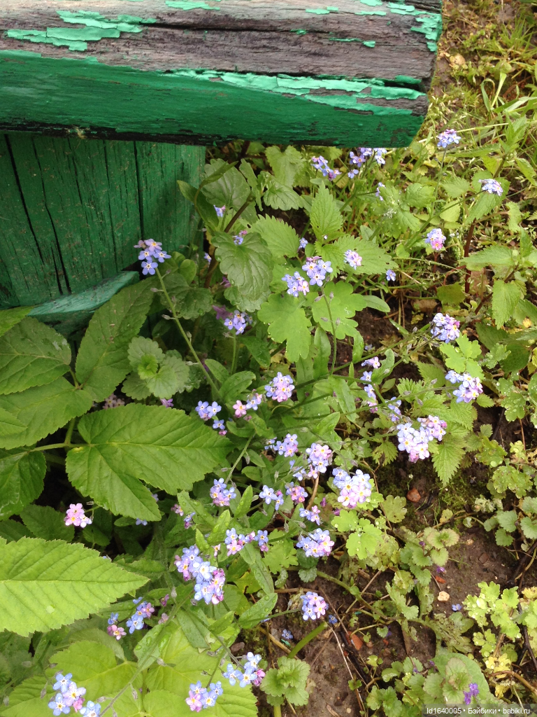 Как молоды мы были — Куклы Kidz'n'Cats (Соня Хартман): шарнирные 46 см