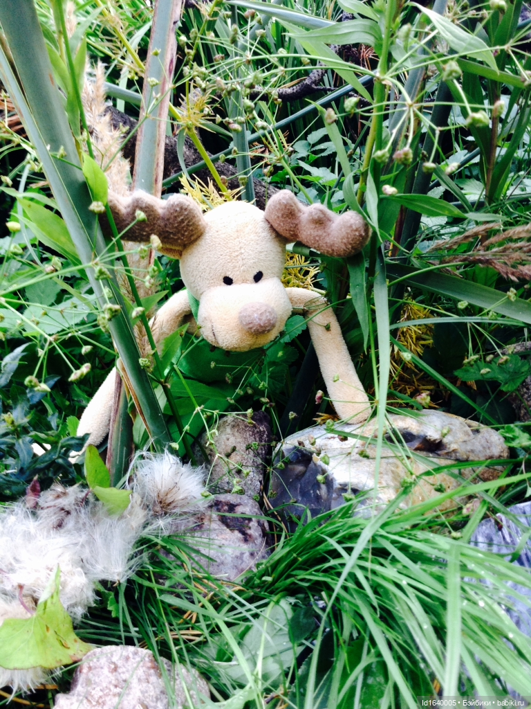 В жару и в стужу жгучую, в темно-синем лесу... кабы чего не вышло