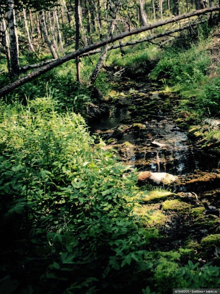 В жару и в стужу жгучую, в темно-синем лесу... кабы чего не вышло