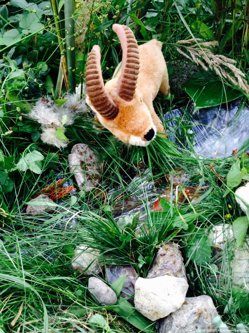 В жару и в стужу жгучую, в темно-синем лесу... кабы чего не вышло