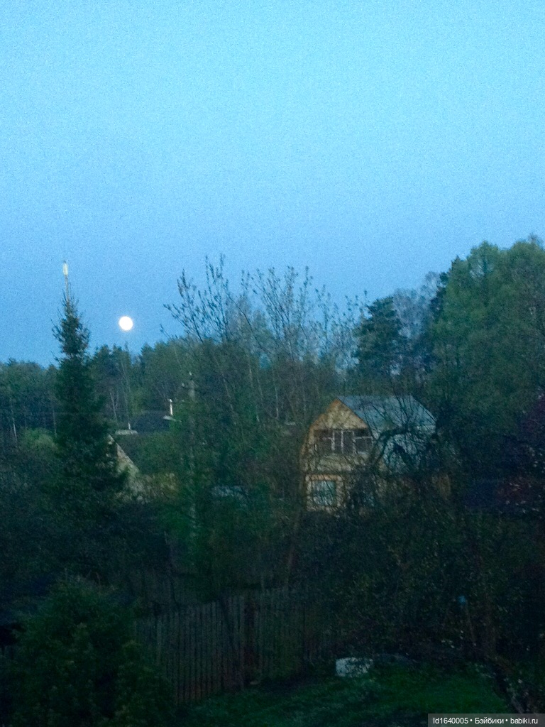 В жару и в стужу жгучую, в темно-синем лесу... кабы чего не вышло