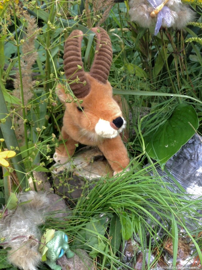 В жару и в стужу жгучую, в темно-синем лесу... кабы чего не вышло