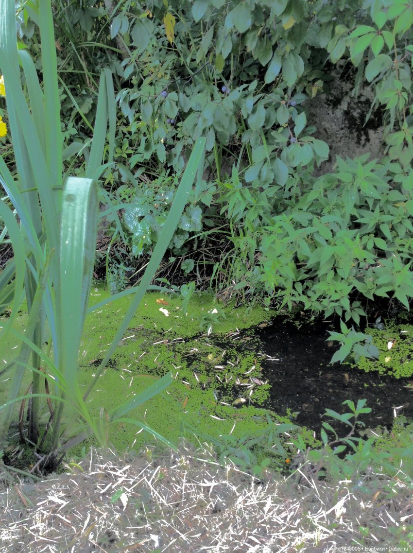 В жару и в стужу жгучую, в темно-синем лесу... кабы чего не вышло