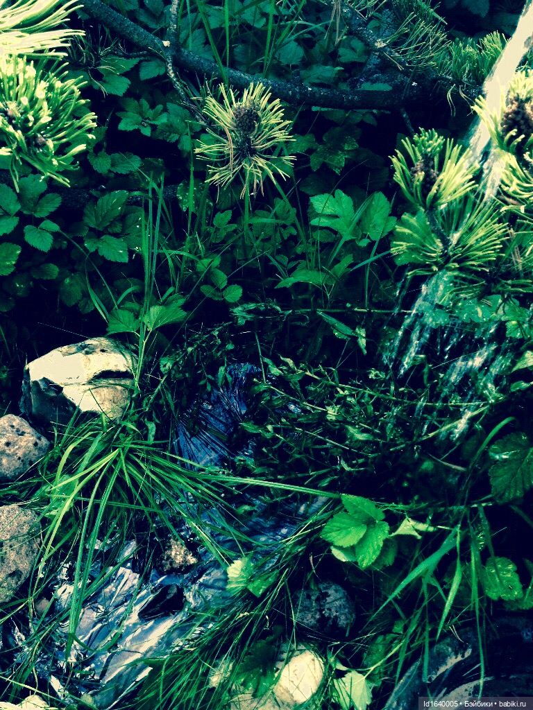 В жару и в стужу жгучую, в темно-синем лесу... кабы чего не вышло