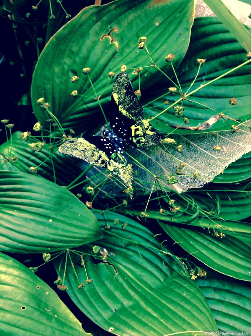 В жару и в стужу жгучую, в темно-синем лесу... кабы чего не вышло