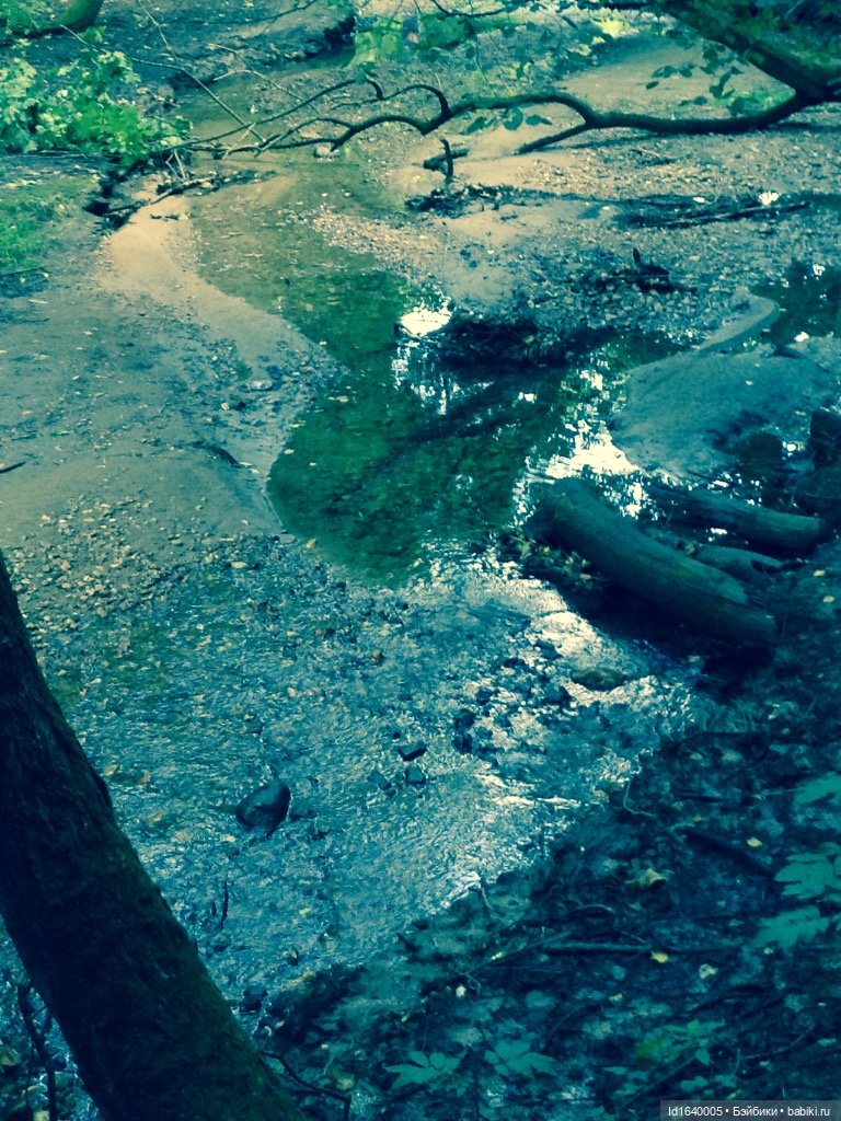 В жару и в стужу жгучую, в темно-синем лесу... кабы чего не вышло