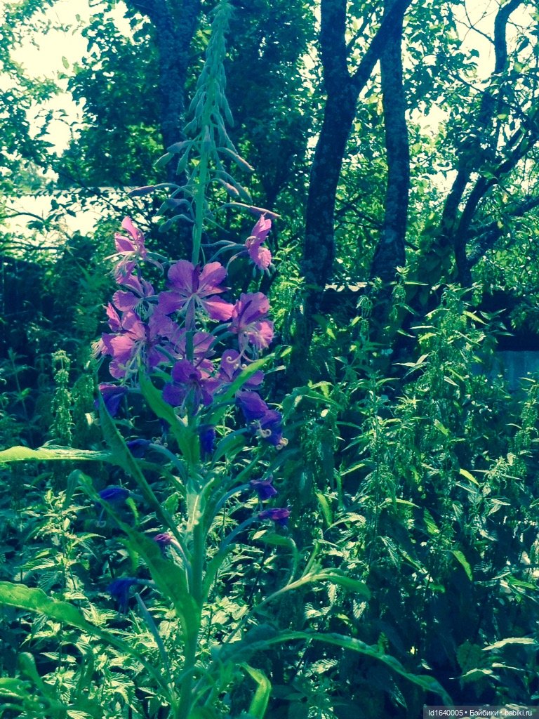В жару и в стужу жгучую, в темно-синем лесу... кабы чего не вышло