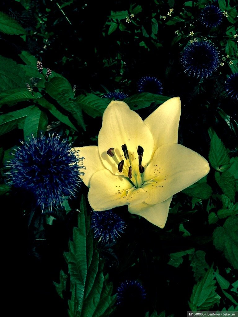 В жару и в стужу жгучую, в темно-синем лесу... кабы чего не вышло