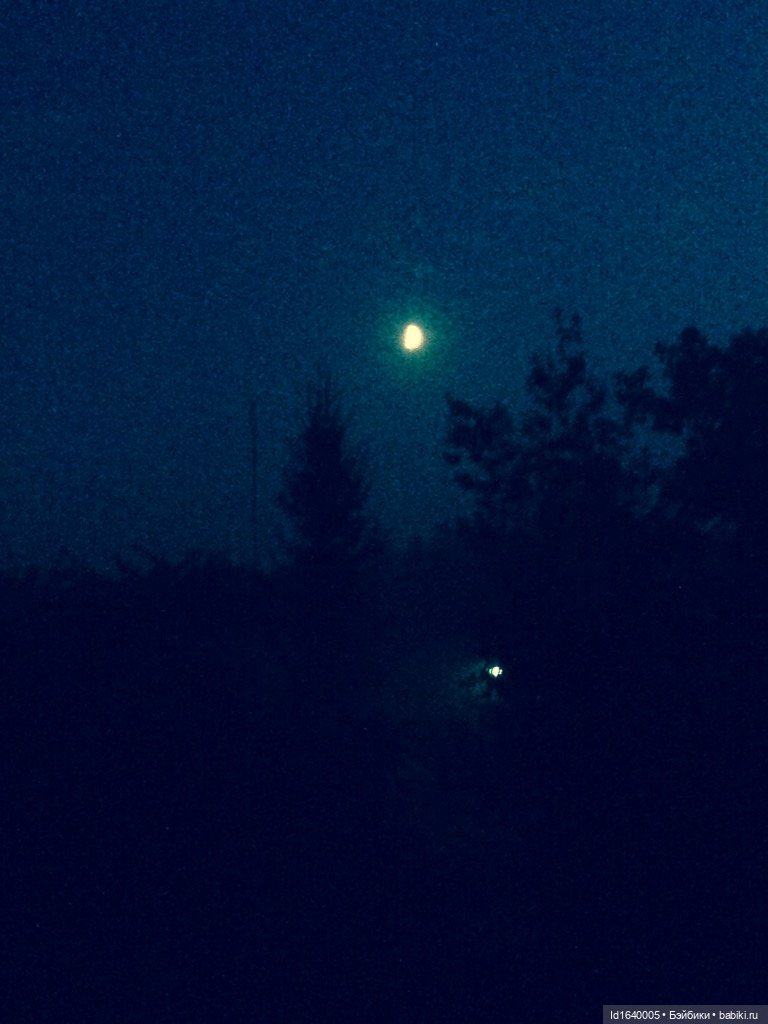 В жару и в стужу жгучую, в темно-синем лесу... кабы чего не вышло (фото 9)